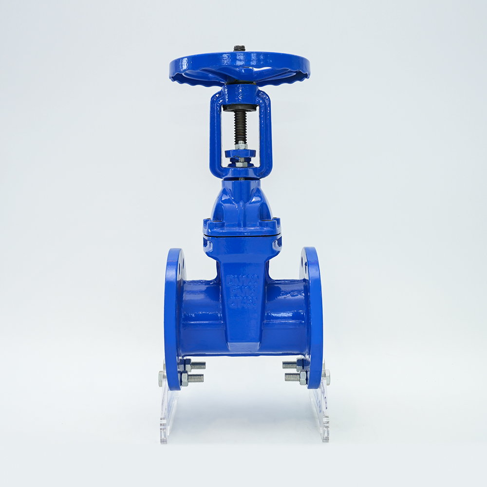 Rising Stem Soft Seal Gate Valve Z41X-16G