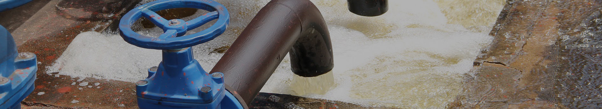 บริษัท ฉางซุย เทคโนโลยี กรุ๊ป จำกัด